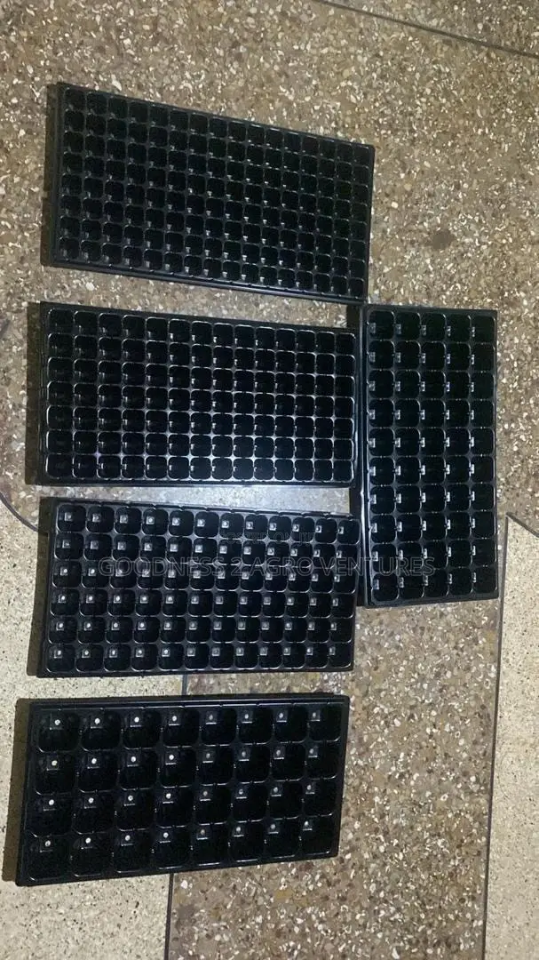 Seedtrays Nursery Tray