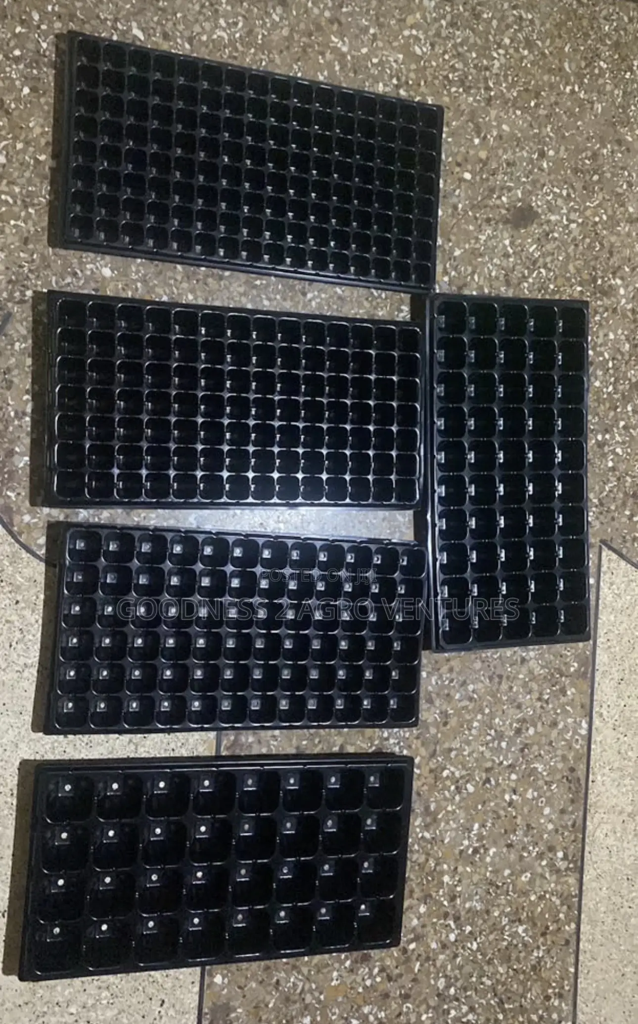Seedtrays Nursery Tray