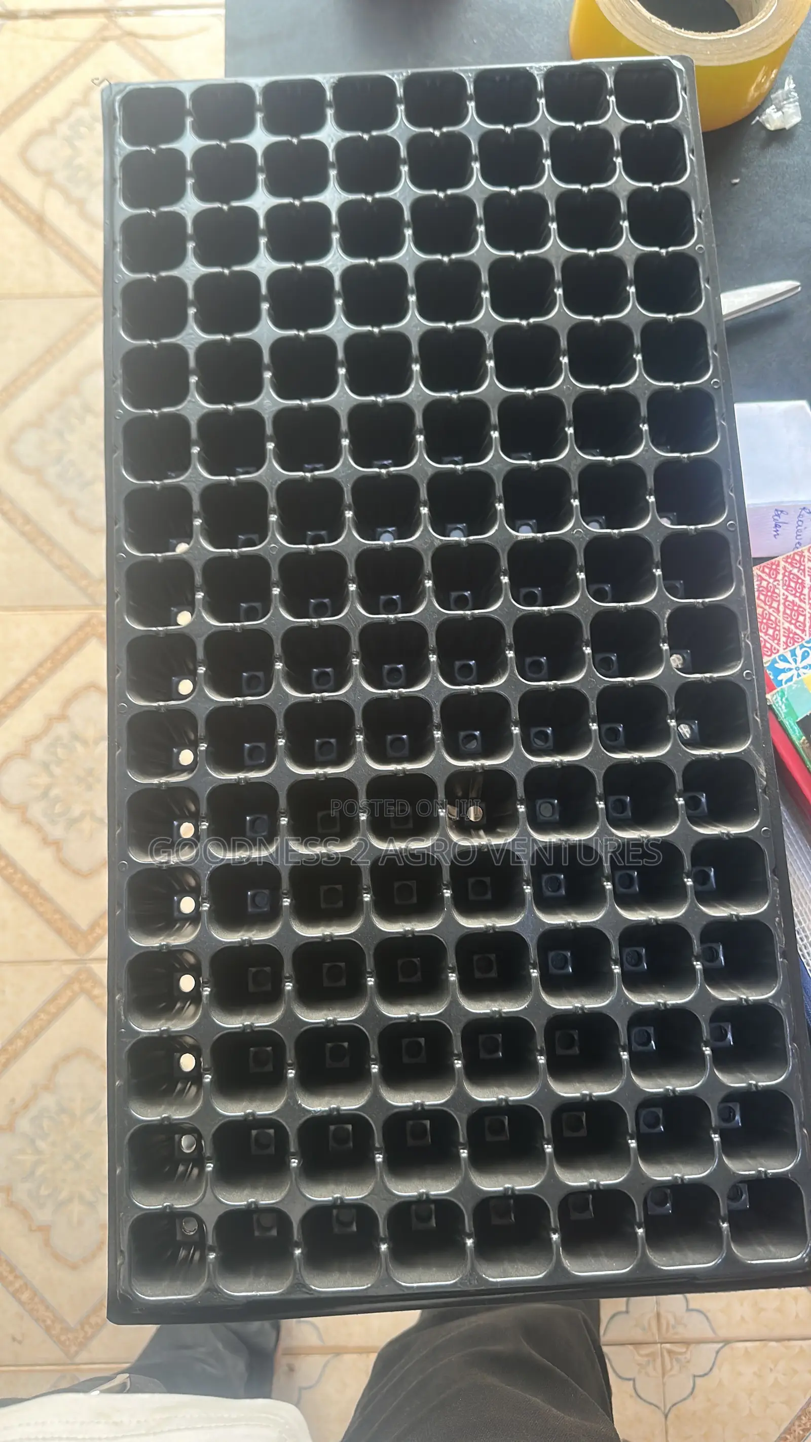 Seedtrays Nursery Tray