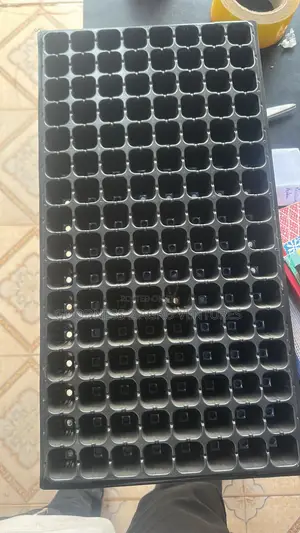 Seedtrays Nursery Tray