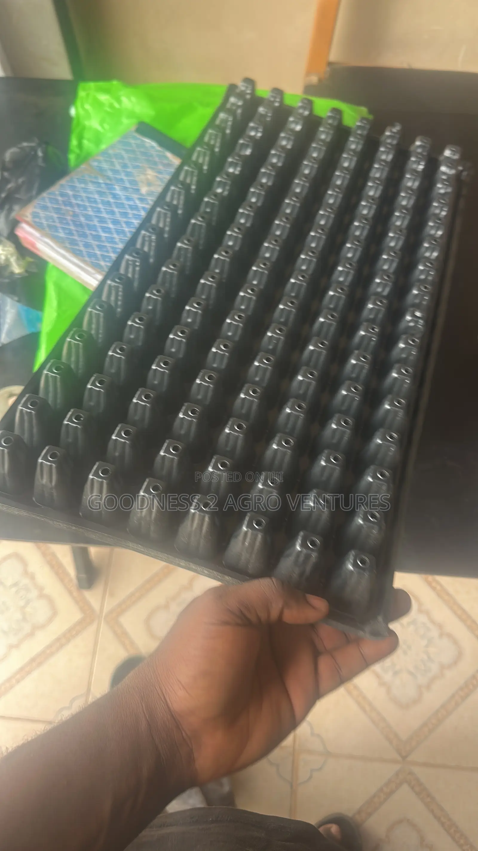 Seedtrays Nursery Tray