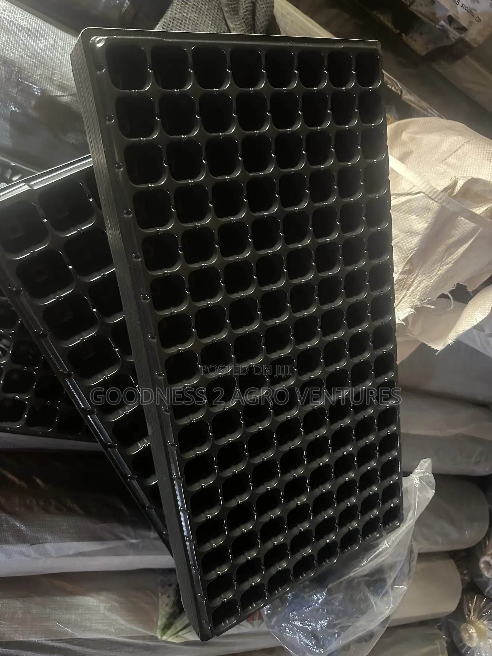 Seedtrays Nursery Tray