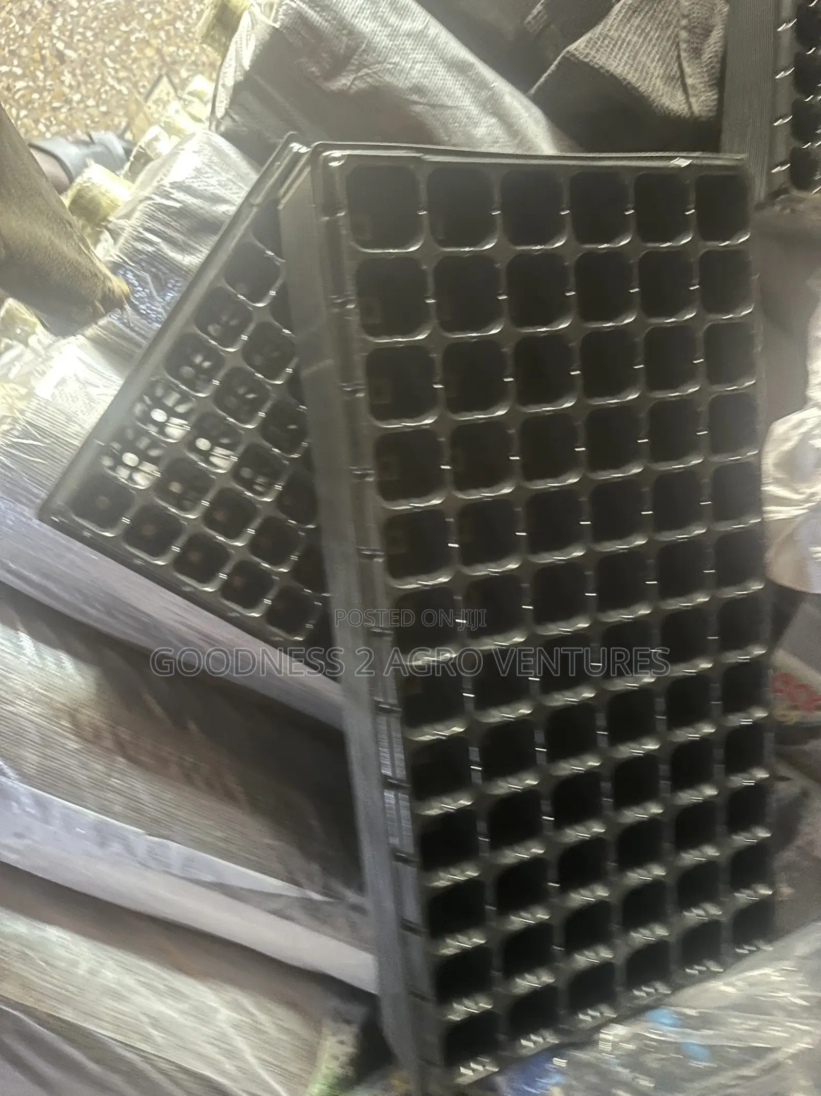 Seedtrays Nursery Tray
