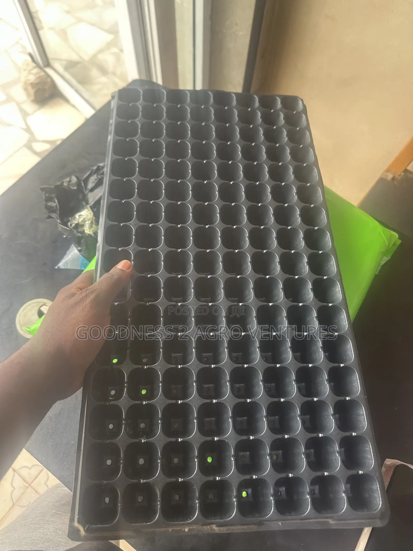 Seedtrays Nursery Tray