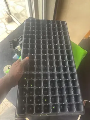 Seedtrays Nursery Tray