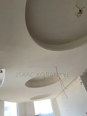 Professional Plasterboard Ceiling Installer-Accra)
