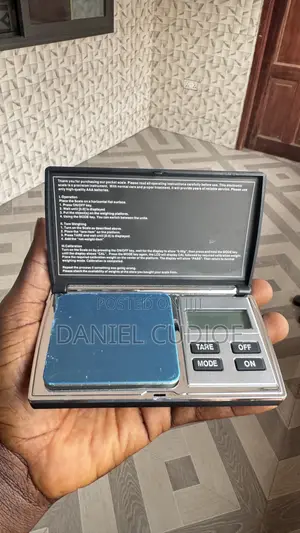Professional Mini Digital Scale