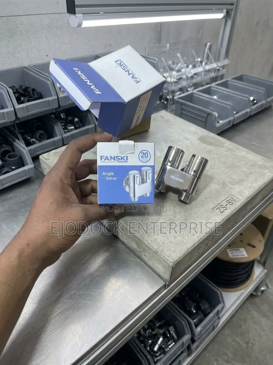 Fanski Double Angle Valve