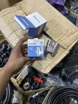 Fanski Double Angle Valve