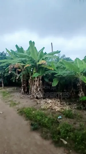 Plots of Land for Sale