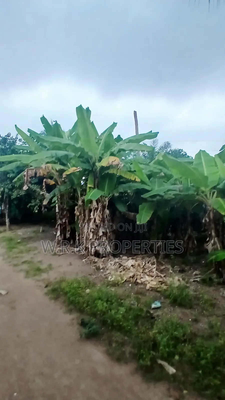 Plots of Land for Sale