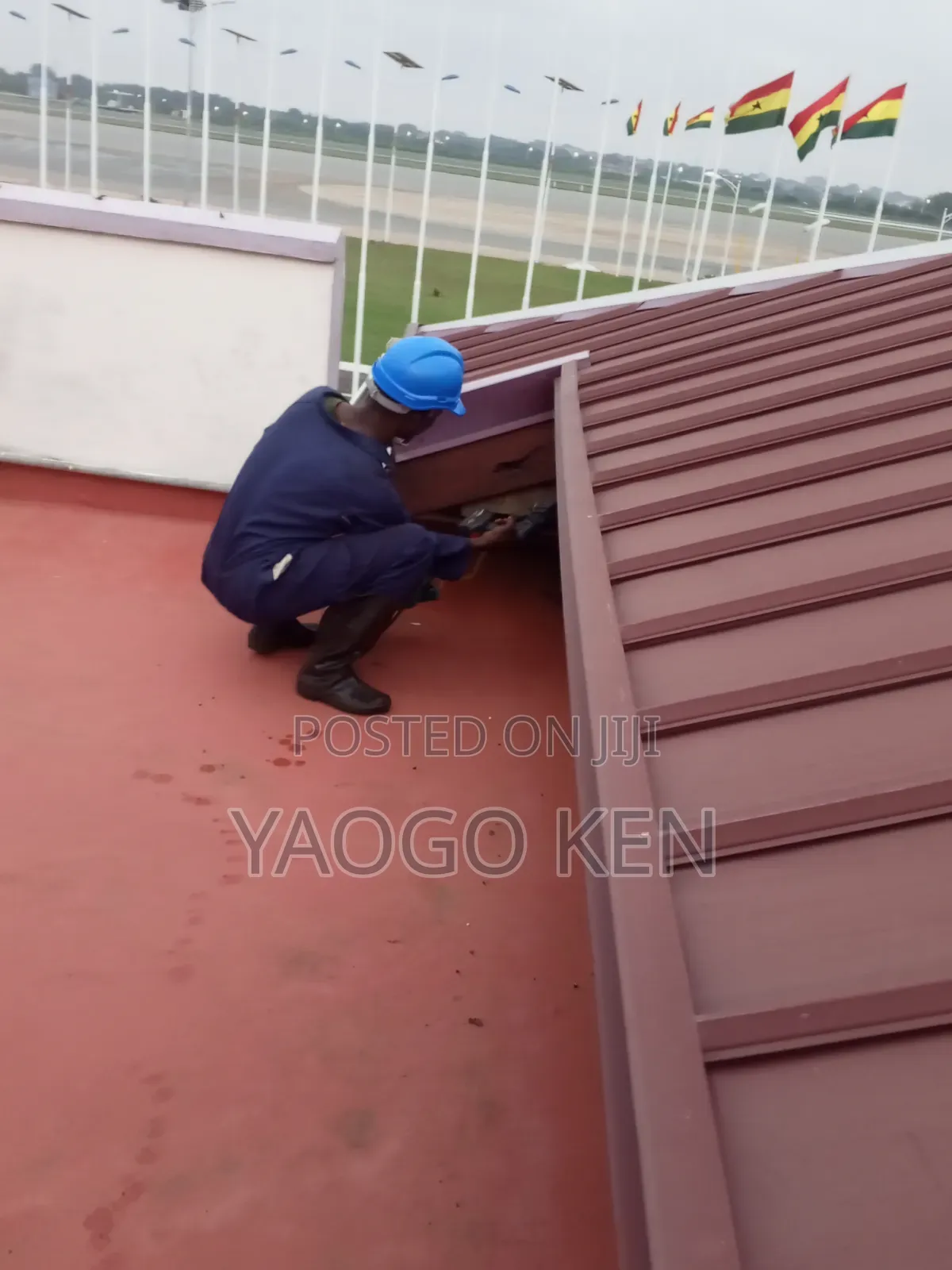 Pest Patrol Solution