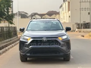 Toyota RAV4 LE AWD 2019 Gray