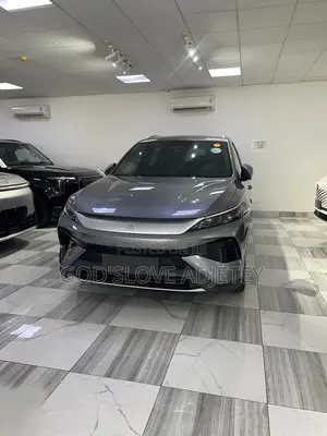 New BYD Song Pro DM-i 2025 Gray