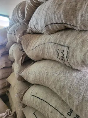50 Kg Nutmeg-Wholesale/Bulk