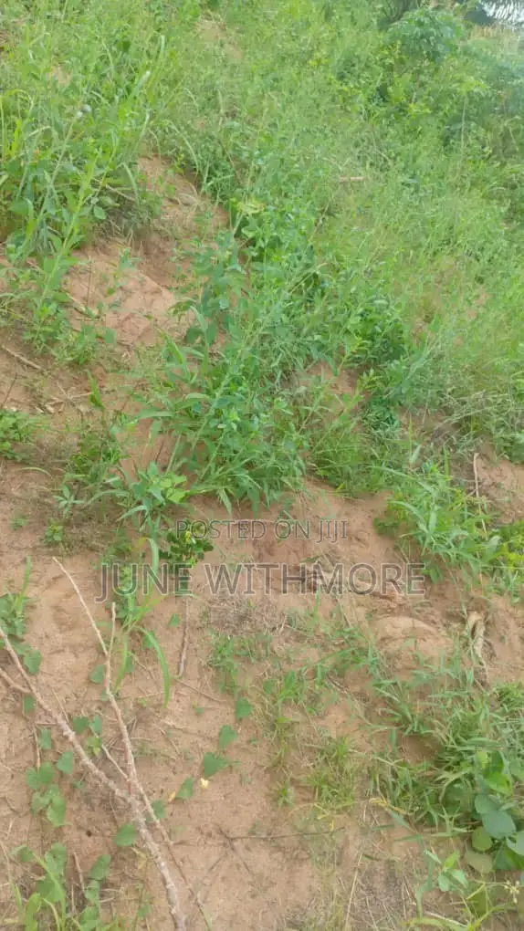 Land for Rent