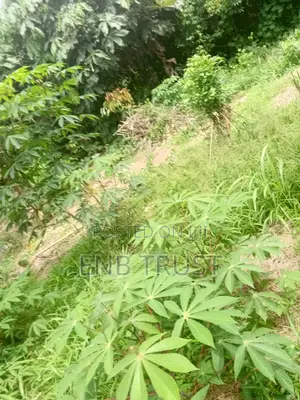 1 Acre of Land for Sale at Kwahu Township
