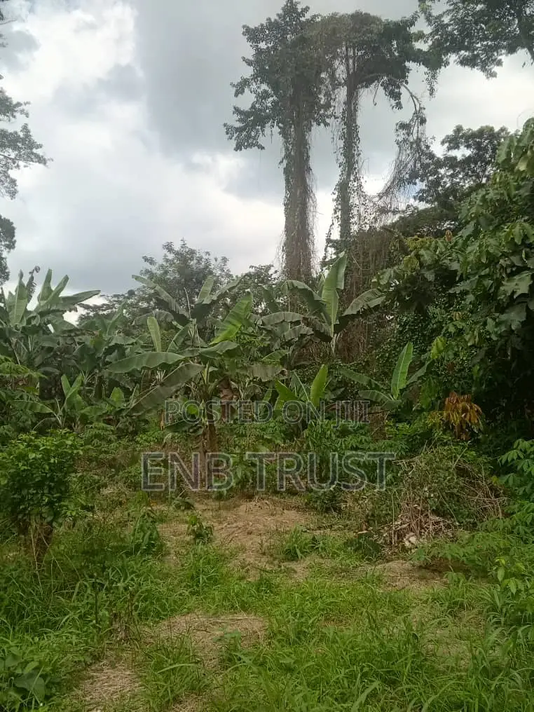 1 Acre of Land for Sale at Kwahu Township