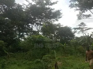 1 Acre of Land for Sale at Kwahu Township