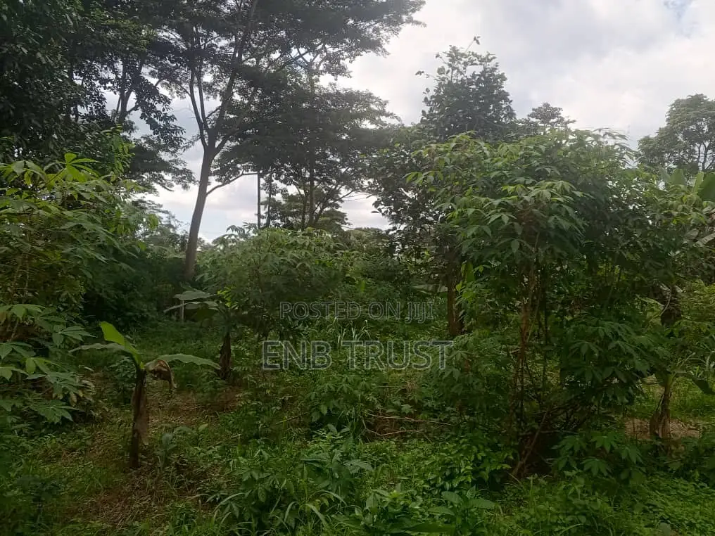 1 Acre of Land for Sale at Kwahu Township