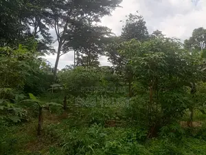 1 Acre of Land for Sale at Kwahu Township