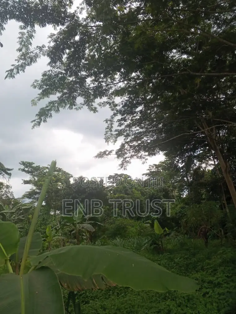 1 Acre of Land for Sale at Kwahu Township