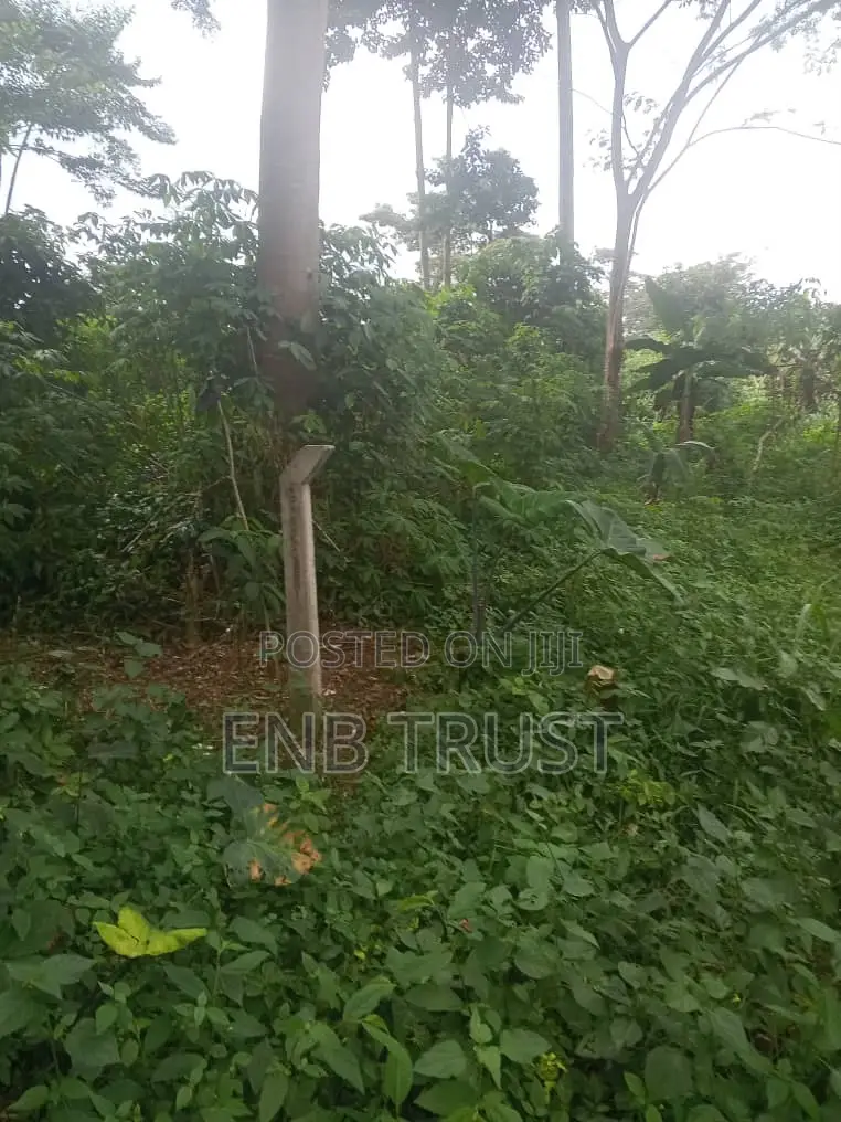 1 Acre of Land for Sale at Kwahu Township