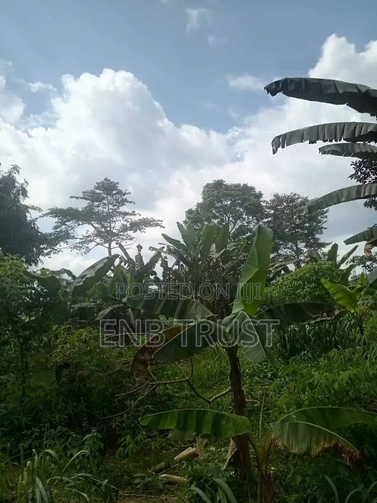 1 Acre of Land for Sale at Kwahu Township