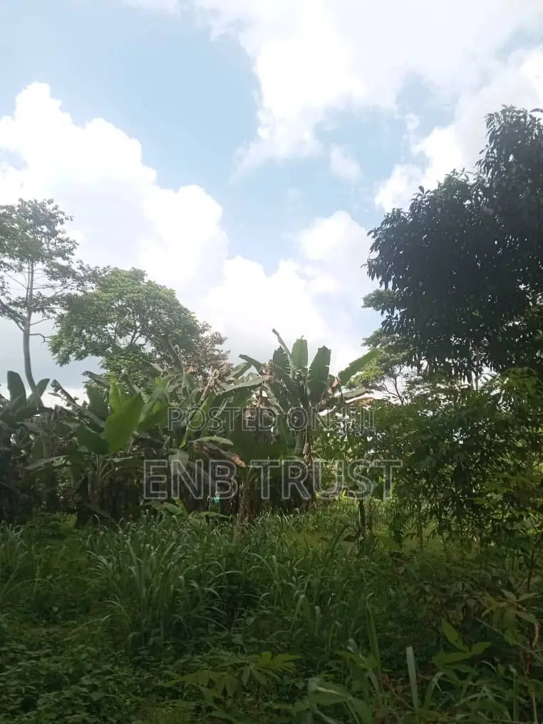 1 Acre of Land for Sale at Kwahu Township