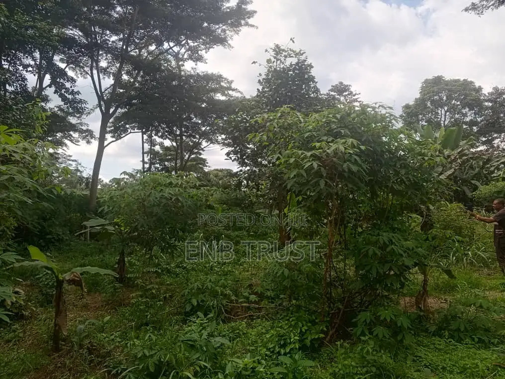 1 Acre of Land for Sale at Kwahu Township