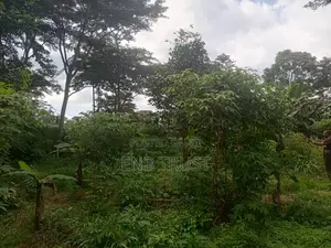 1 Acre of Land for Sale at Kwahu Township