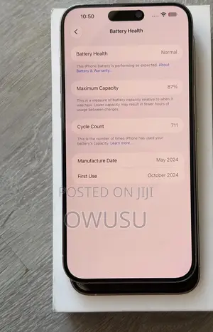 Apple iPhone 15 Pro Max 256 GB Silver