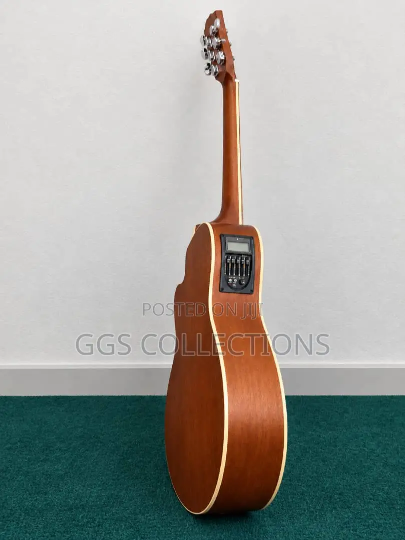 Ibanez Acoustic Guitar