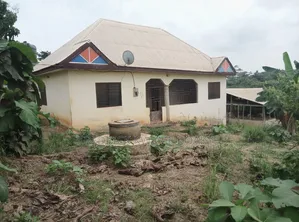 Pig Farm for Sale at Mankranso Dwenewoho