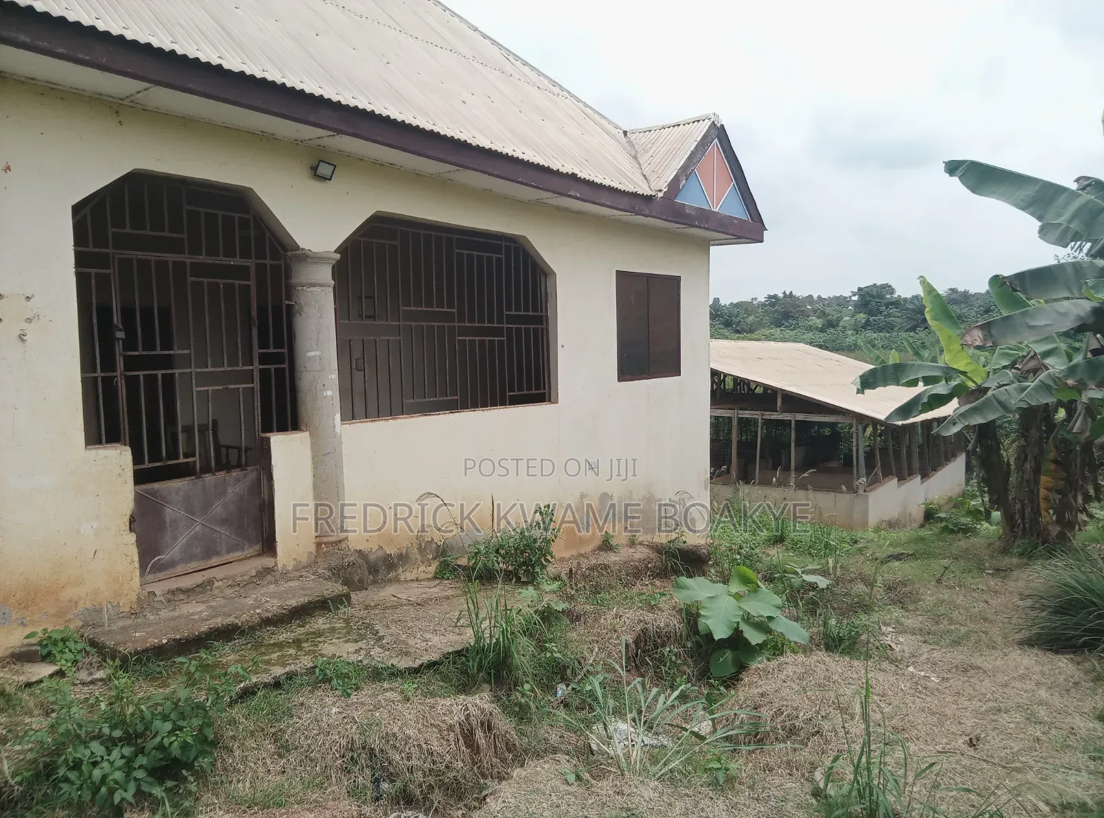 Pig Farm for Sale at Mankranso Dwenewoho
