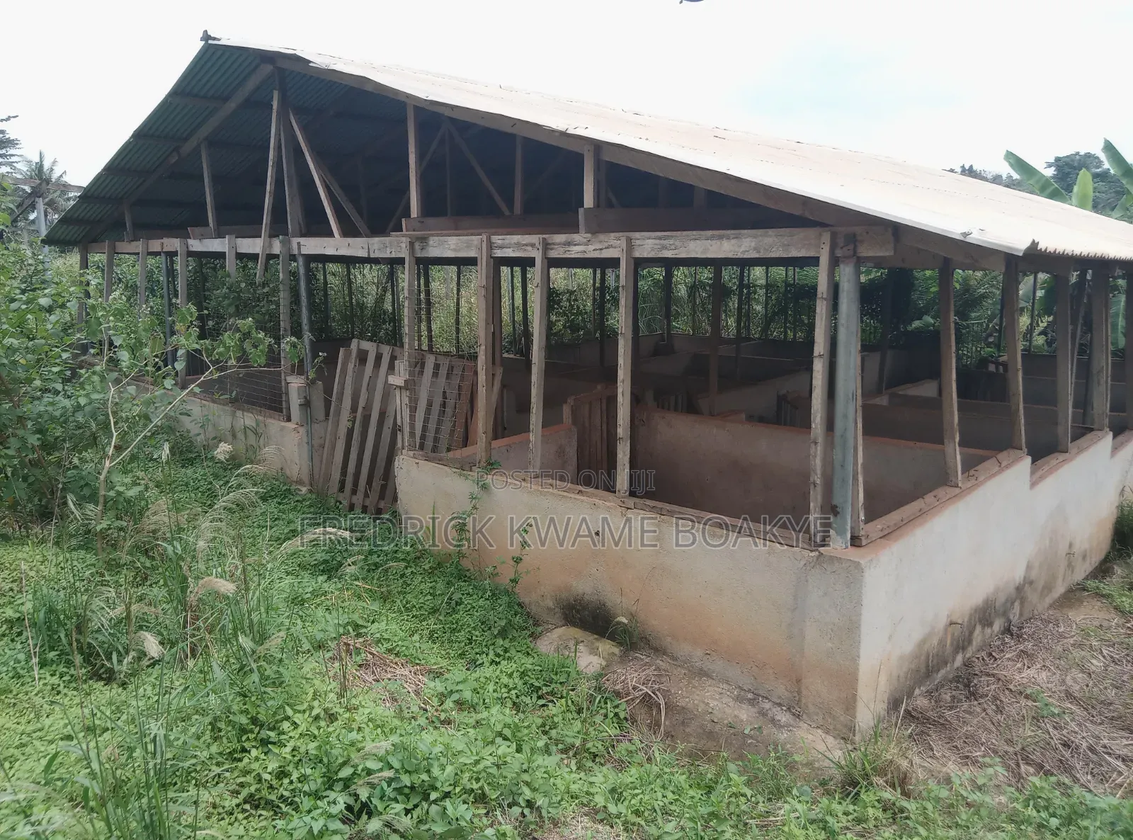 Pig Farm for Sale at Mankranso Dwenewoho