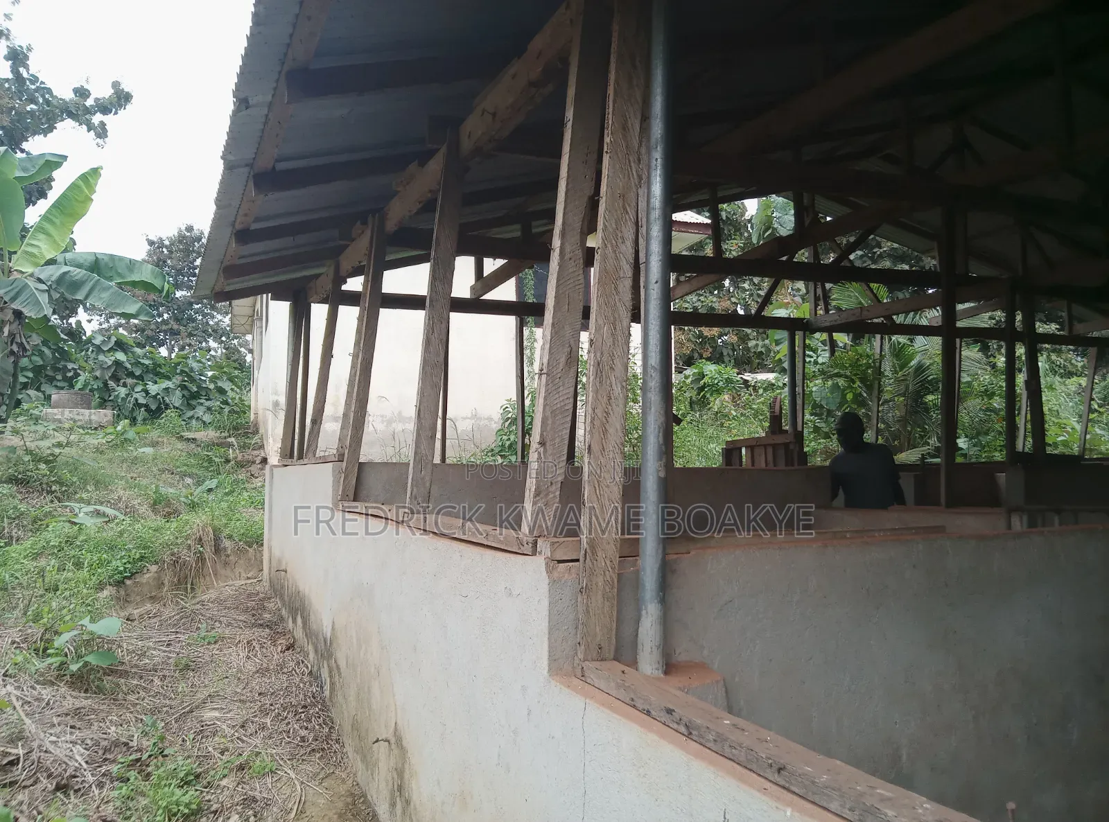 Pig Farm for Sale at Mankranso Dwenewoho