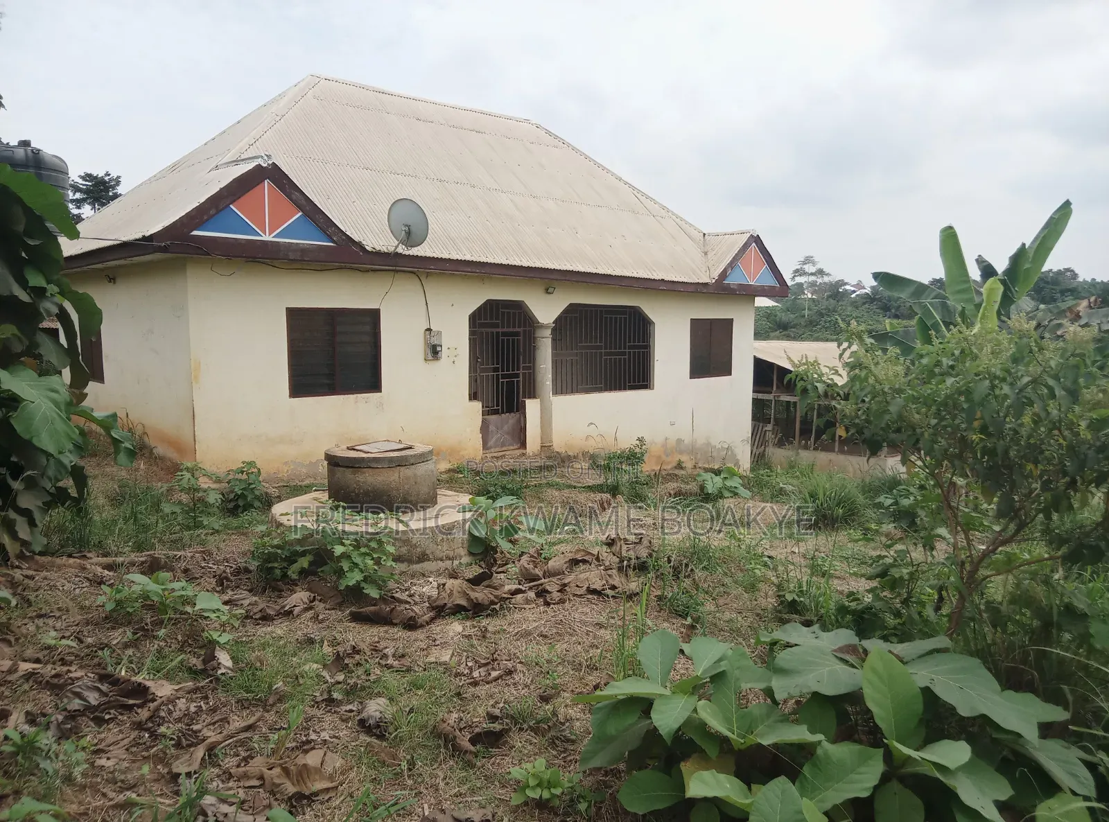 Pig Farm for Sale at Mankranso Dwenewoho