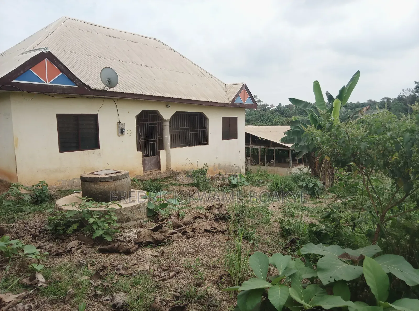 Pig Farm for Sale at Mankranso Dwenewoho