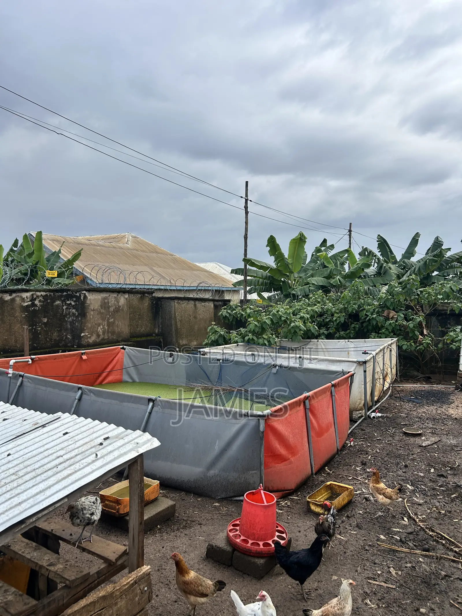 Tarpaulin for Catfish
