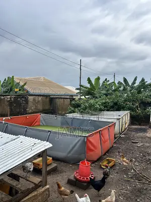 Tarpaulin for Catfish