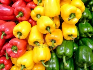 Bell Pepper