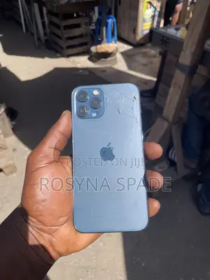Apple iPhone 12 Pro Max 256 GB Blue