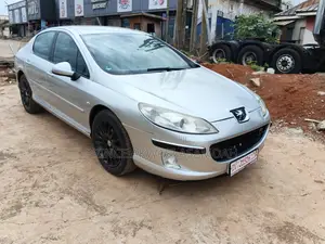 Peugeot 407 2010 Silver