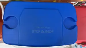 Igloo Cooler