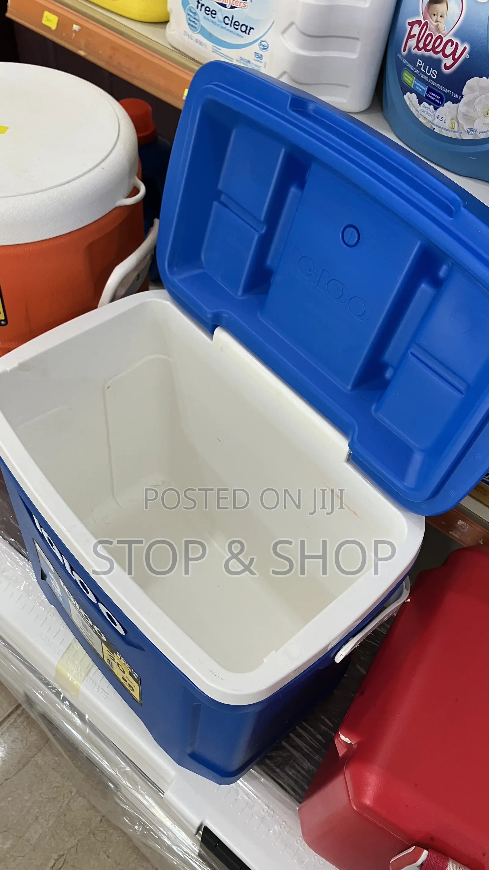 Igloo Cooler