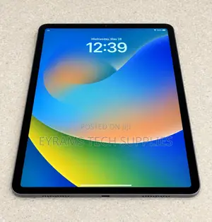 Apple iPad Pro 256 GB Gray