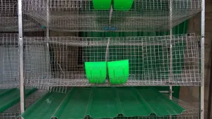 12-Unit Rabbit Cage Automatic Drinker & Feeder | Rabbit Farming Cage