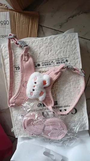 Cute Leashes and Harness for Kittens and Puppies
