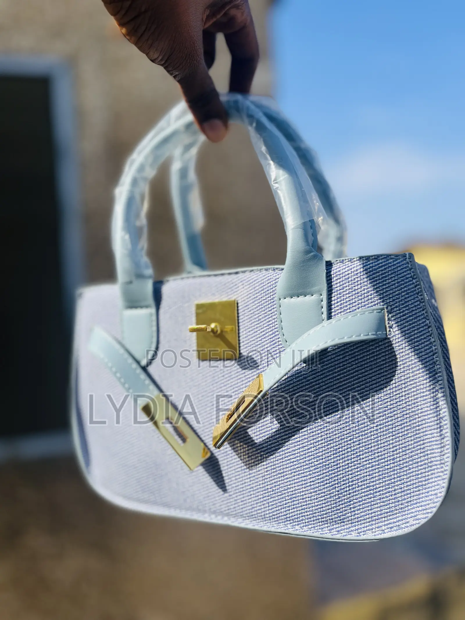 Ladies Handbags